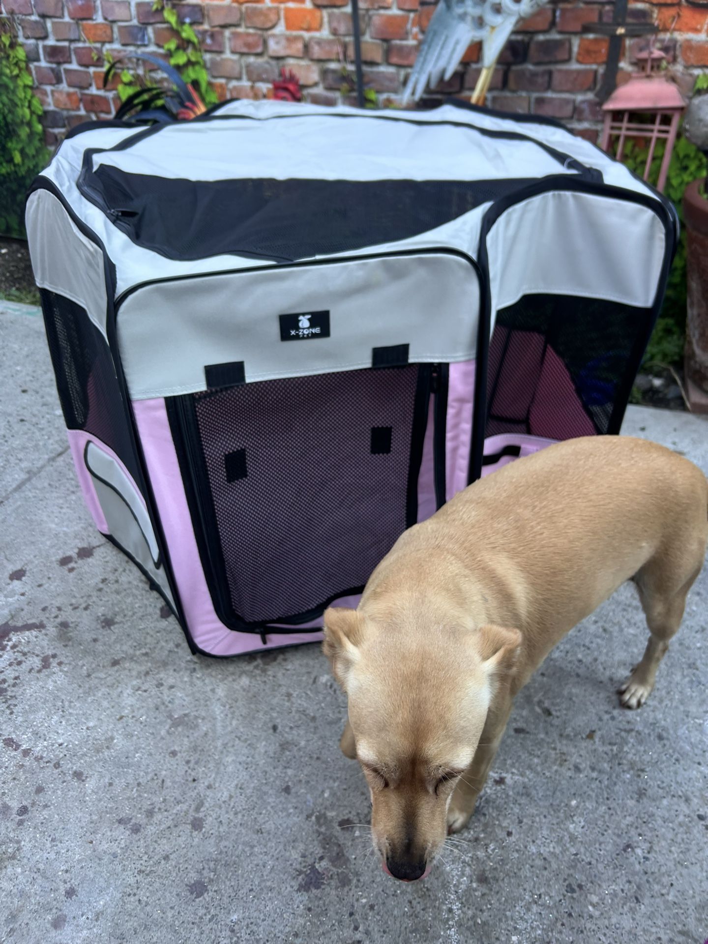 Portable Pet Play Pen 
