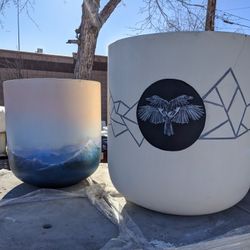 12/12/20 - Plants and Pots Never Take a Snow Day - Pottery & Succulents Still for Sale