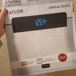 Scale