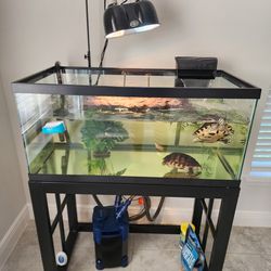 Turtle Tank 40 Gallon with Extras