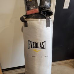 Everlast Heavy Bag