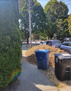 Hemlock Mulch