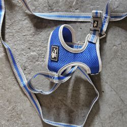 Xs Dog Harness/leash Set