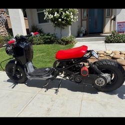 Rukus For Sale-  Ashlan And Fowler