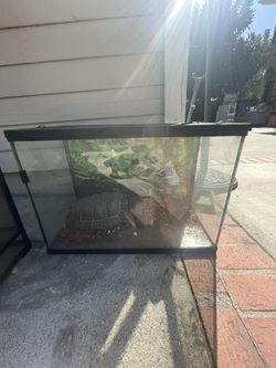 Reptile Terrariums