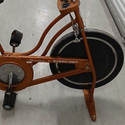 Schwinn Exerciser