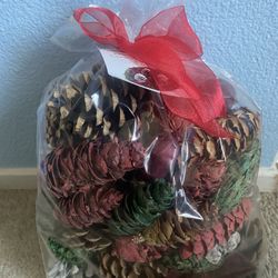 Cinnamon Pinecones Bag