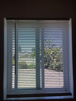 White window blinds