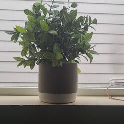 Artificial Plant