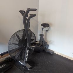 Rouge Echo Bike