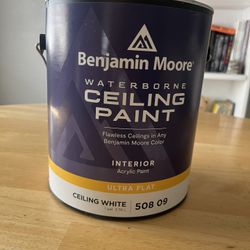 Benjamin Moore Ceiling Paint 1 Gallon White