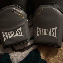 Everlast 16oz Boxing Gloves