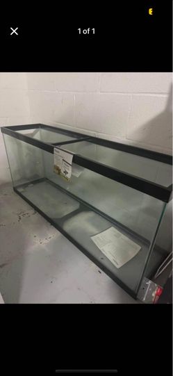 55 Gallon Aquarium