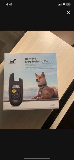 Remote dog color trainer