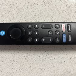 FIRE TV With Mount 
