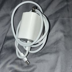 iPhone USB C Lightning Charger