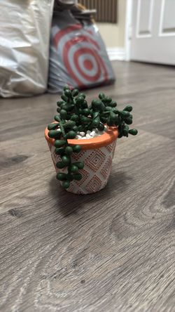 Artificial Succulent