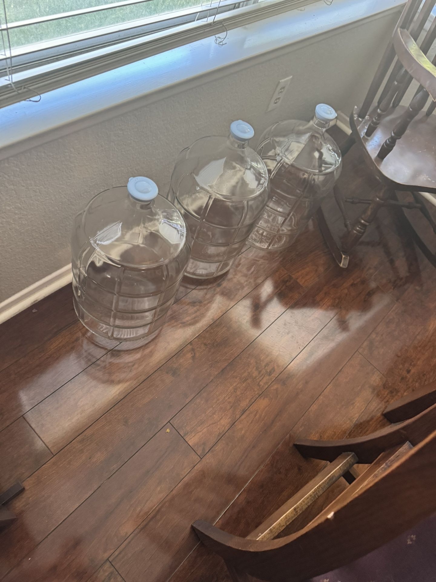 5 Gallon Glass Jugs 60$ Each