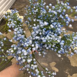 Fake Blue Baby’s Breath Flowers