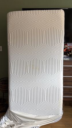 Free twin mattress