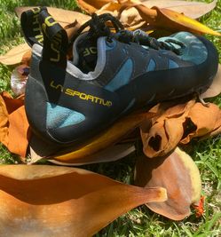 Rock climbing shoes