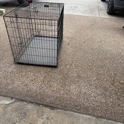 Dog Cage
