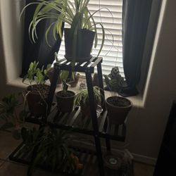 Plant Stand $20 