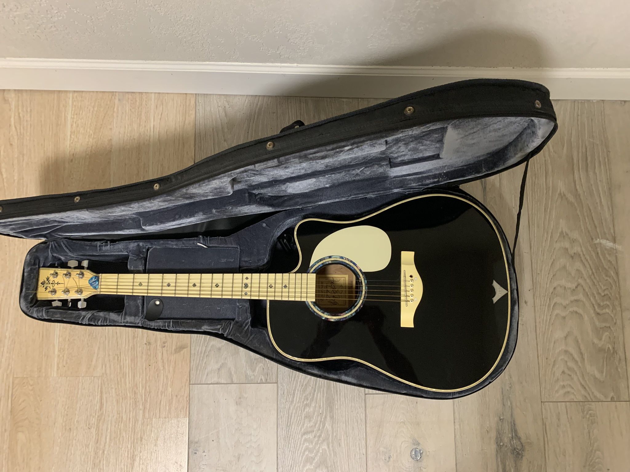 Esteban Master Class Series VL-100 Acoustic Electric Guitar