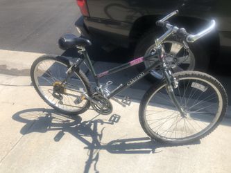 Coleman Cm 2100 special edition 21 speed mountain bike