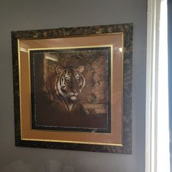 Huge Tiger Picture 