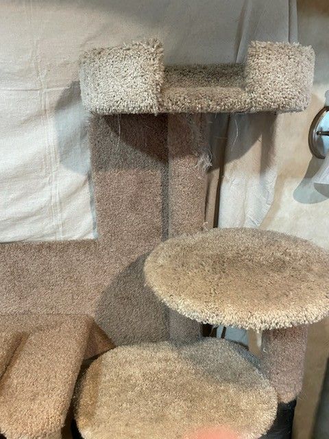 Multi-level Structure For Cats