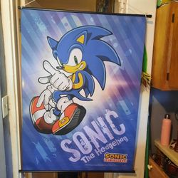 Sonic The Hedgehog Wall Art 30 By 40 Inch Fabric