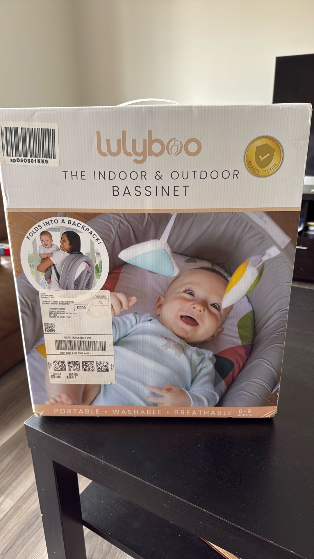 Indoor and Outdoor Bassinet
