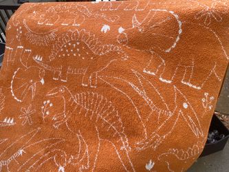 Area Rug - dinosaur themed