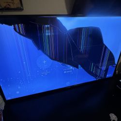 50 Inch TV / Polaroid 