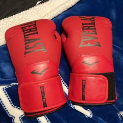 Everlast Elite 2 Boxing Gloves 