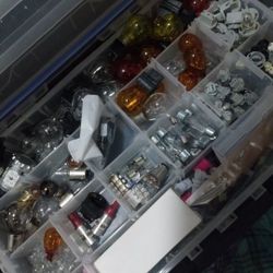 Small Case Of A Ton Of Bulbs