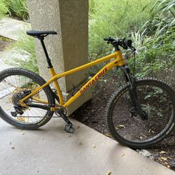 SANTA CRUZ CHAMELEON 8 - Build D - XL