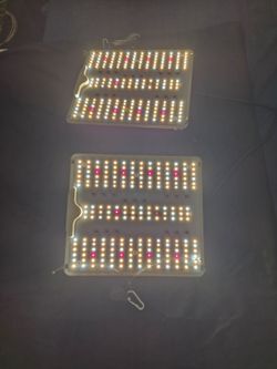 Spider Farmer SF2000 Grow Lights