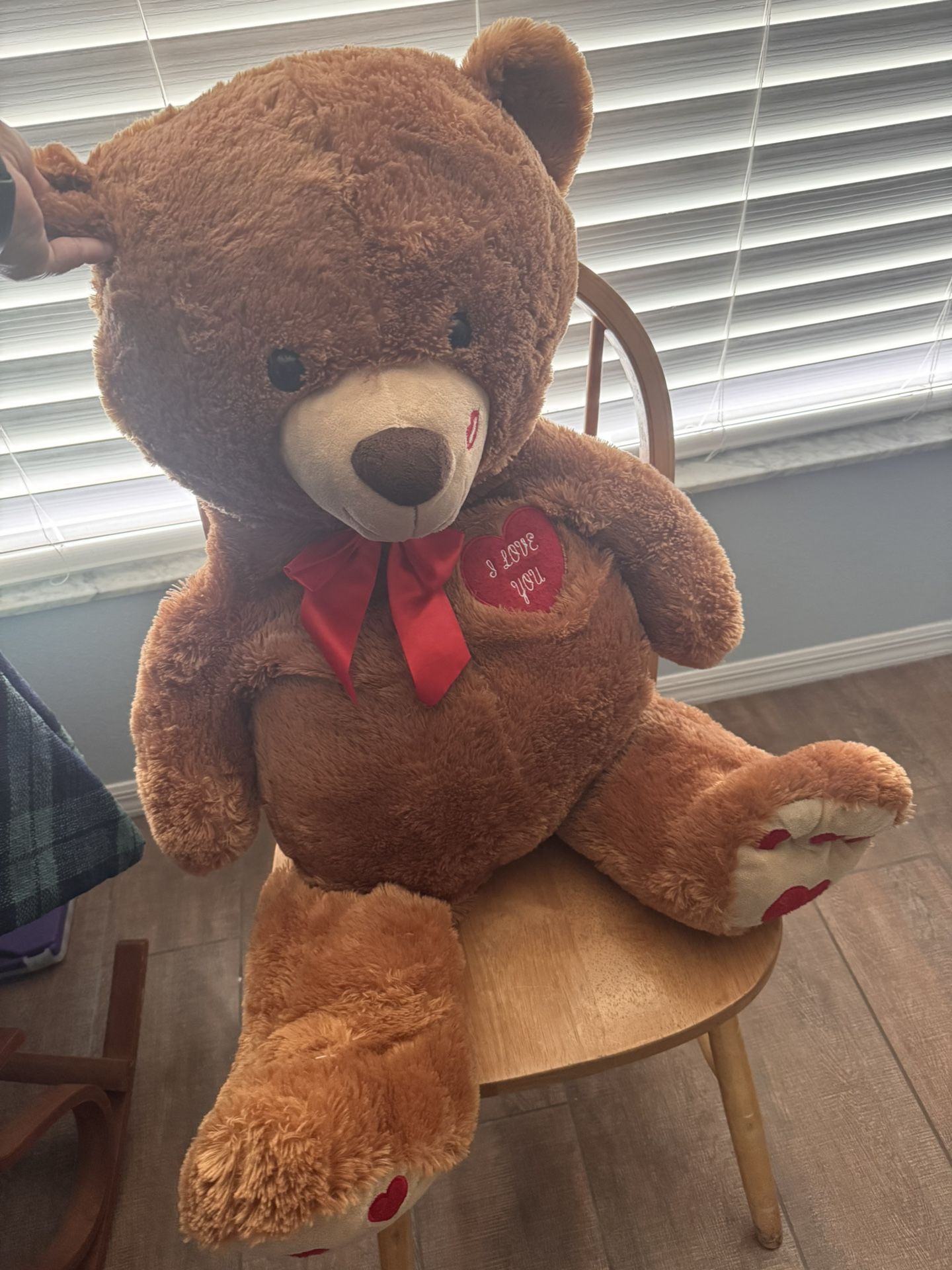 Large Teddy Bear