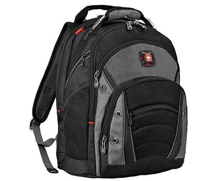 Wenger Synergy Pro Backpack Gray