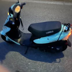 Ice Bear 50cc Moped Negotiable