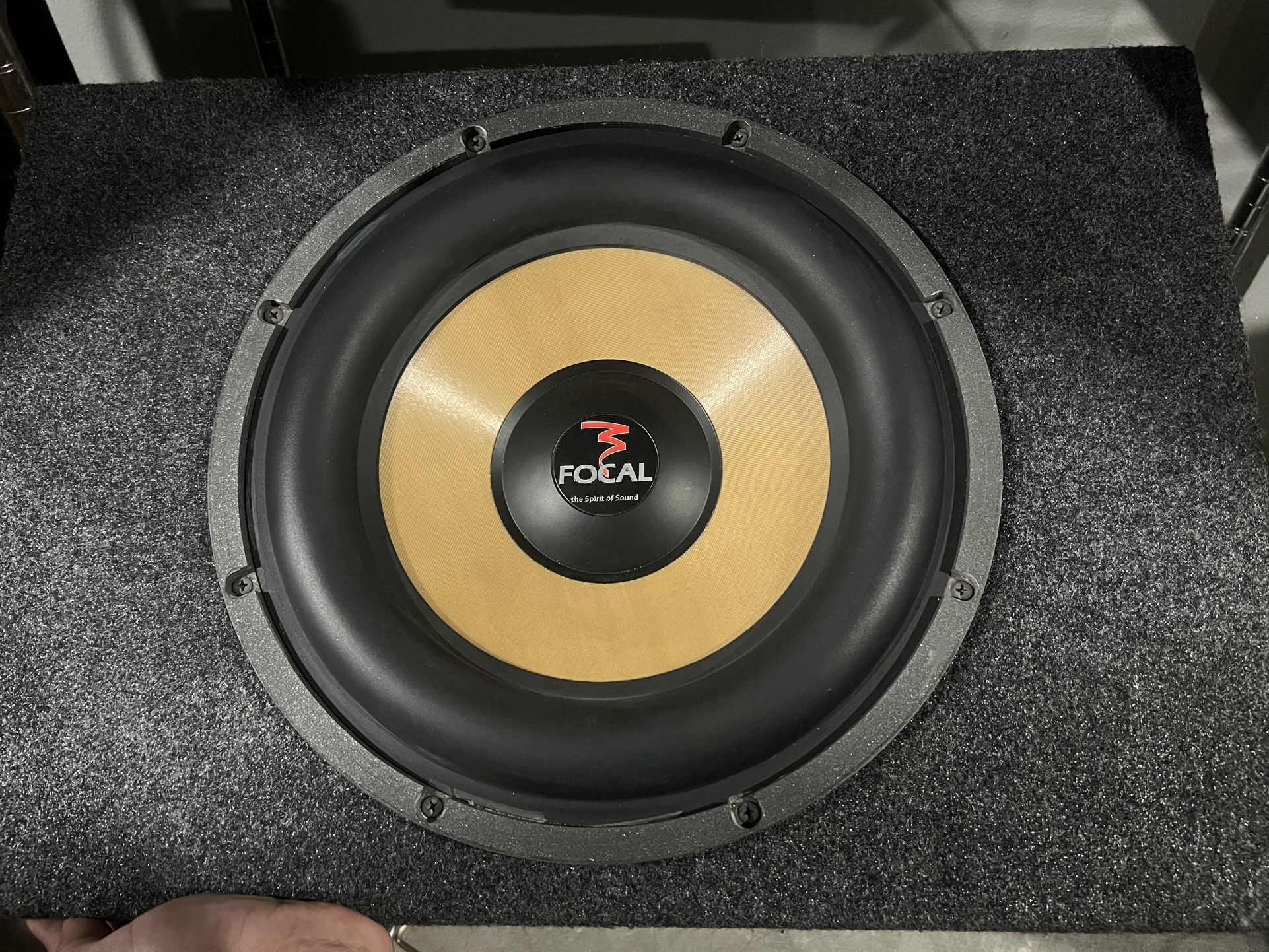 Focal Subwoofer