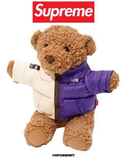 Supreme x The North Face Bear - メルカリ