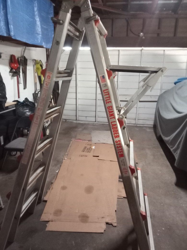 Little Giant Ladder