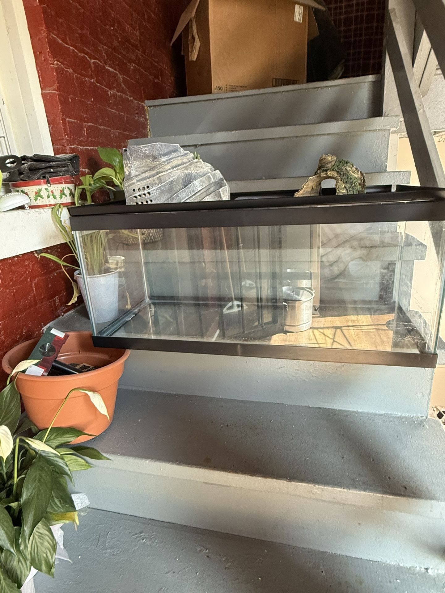 40 gallon tank