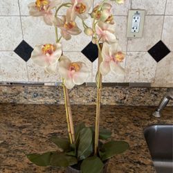 Small Artificial Plant 