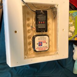 Egg Incubator 
