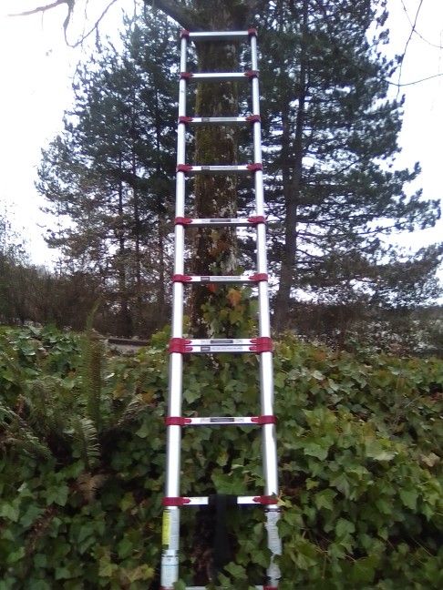 Peligro 10.5 Telescoping Ladder