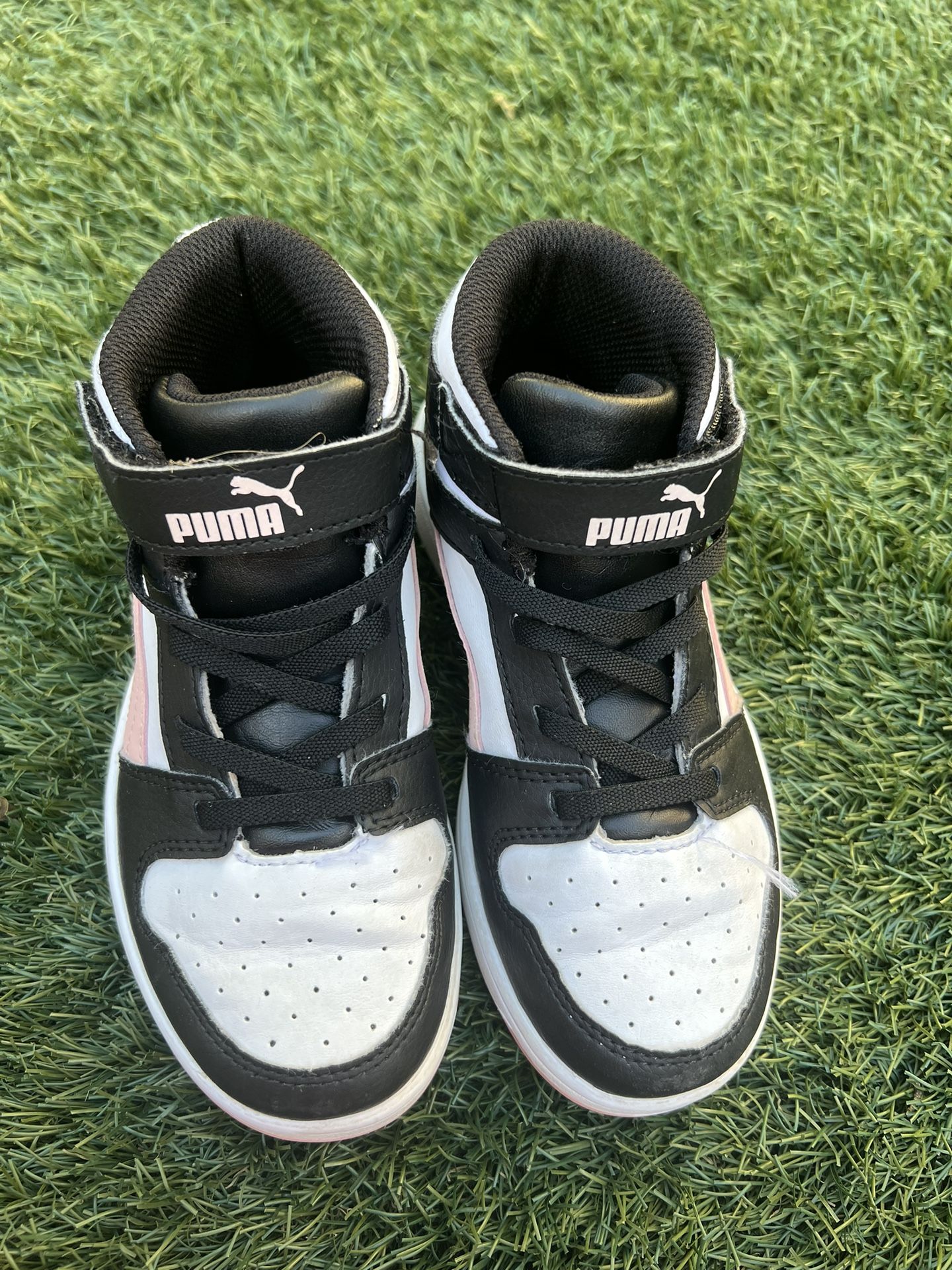 Pink N Black Pumas